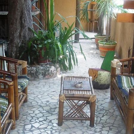 Mayan Hostel Cancun Dış mekan fotoğraf