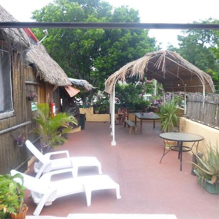 Mayan Hostel Cancun Dış mekan fotoğraf