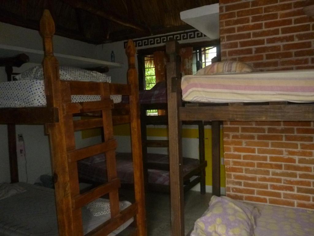 Mayan Hostel Cancun Oda fotoğraf