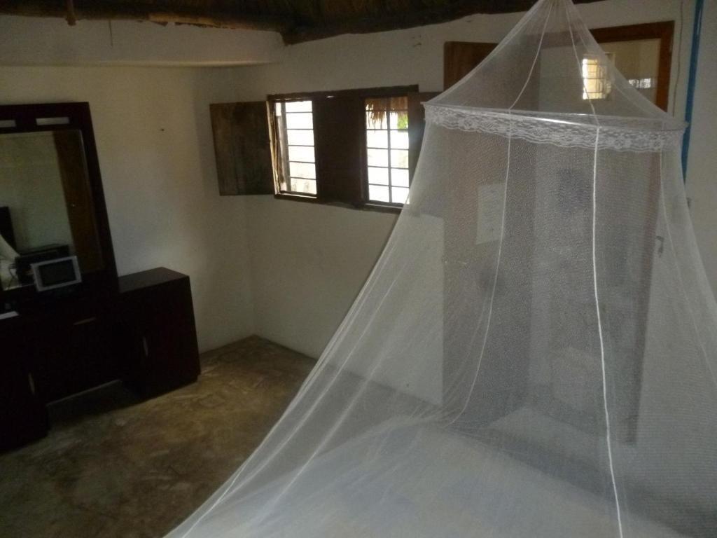 Mayan Hostel Cancun Dış mekan fotoğraf