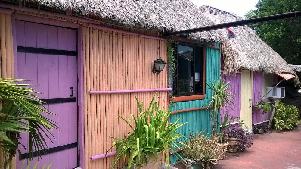 Mayan Hostel Cancun Dış mekan fotoğraf