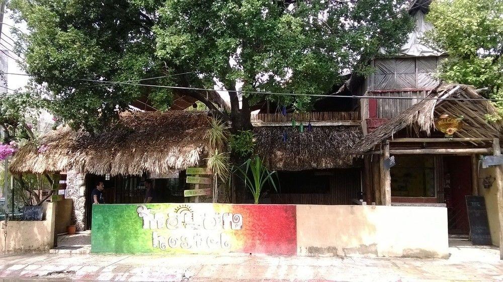 Mayan Hostel Cancun Dış mekan fotoğraf