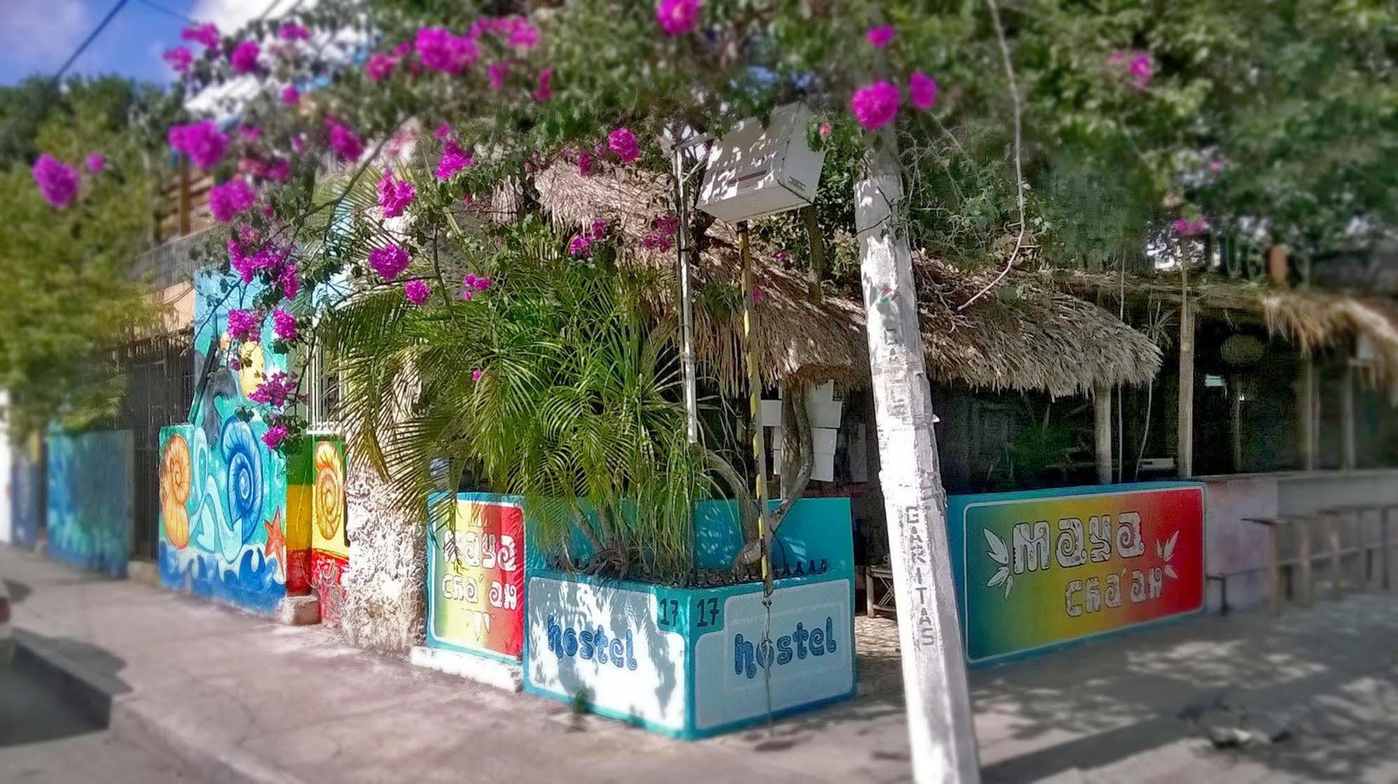 Mayan Hostel Cancun Dış mekan fotoğraf